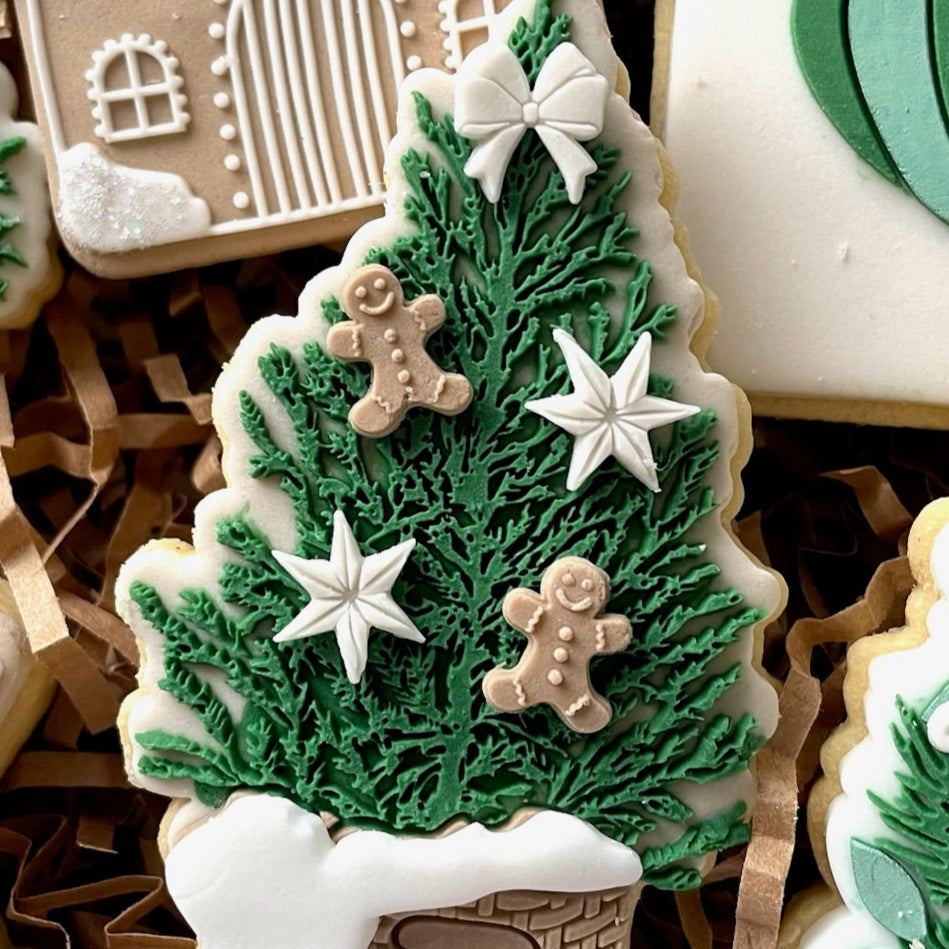 Star Christmas Acrylic Mini Mould