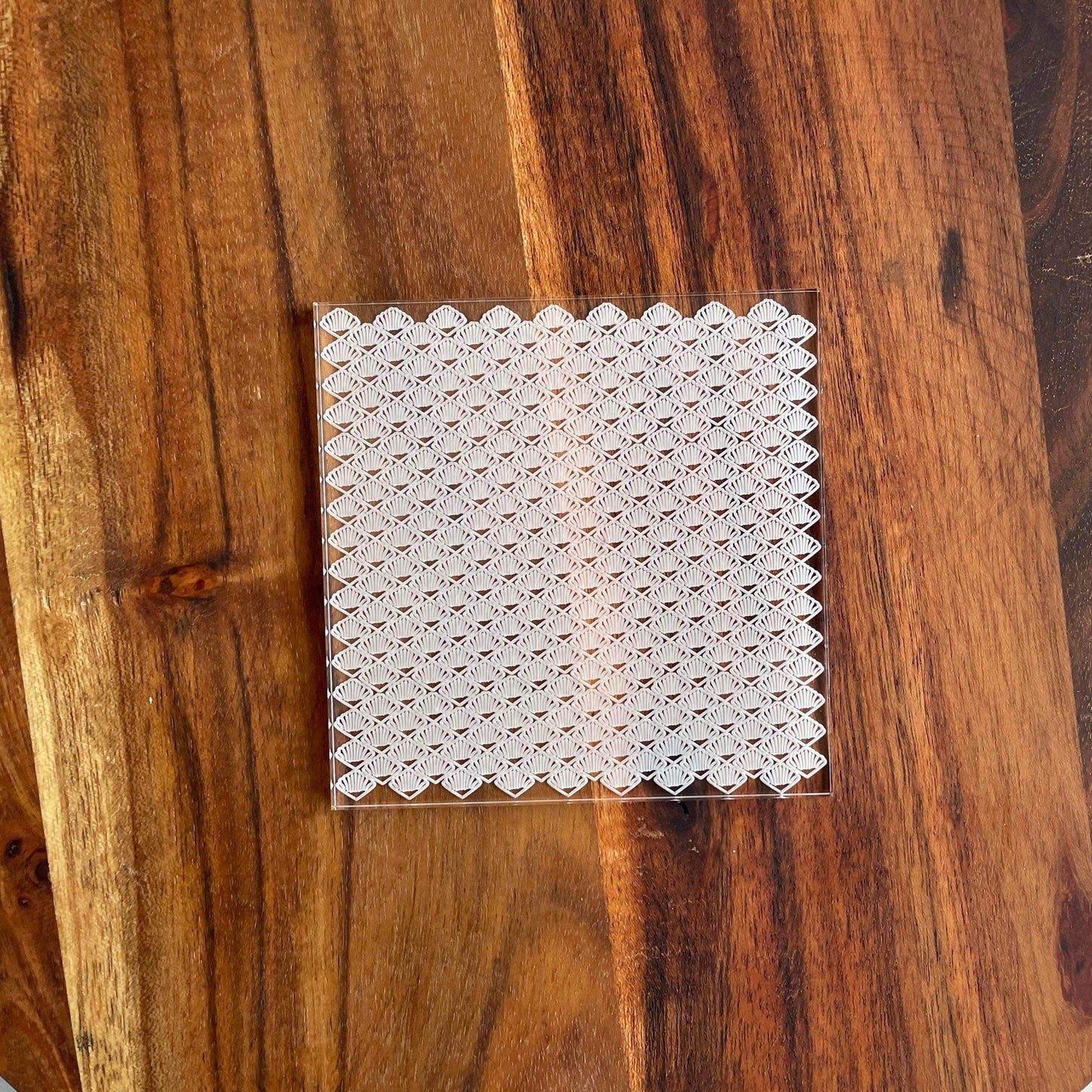 Shell Beach Pattern Plate