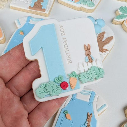Peter Rabbit Acrylic Mini Mould