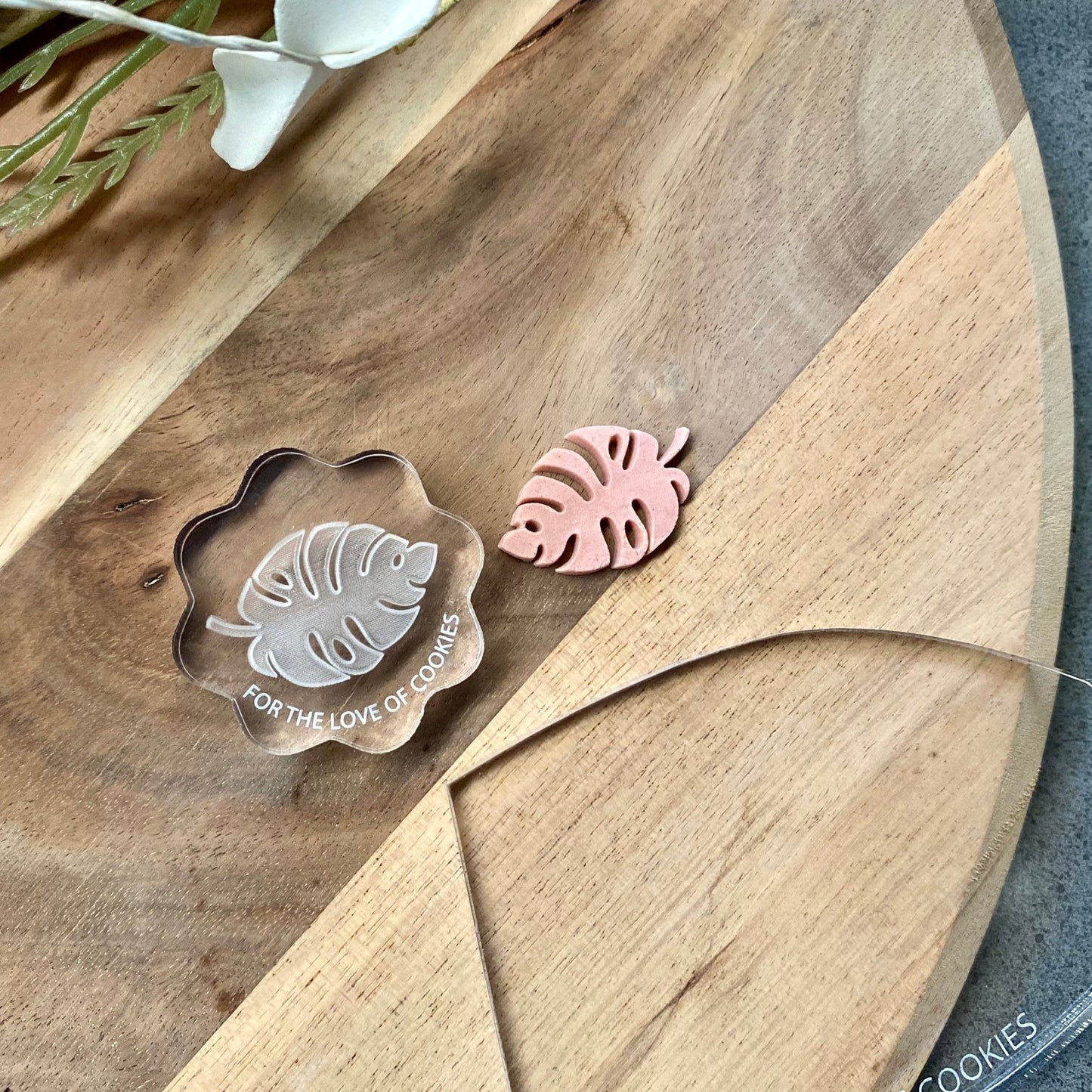 Monstera Leaf Acrylic Mini Mould