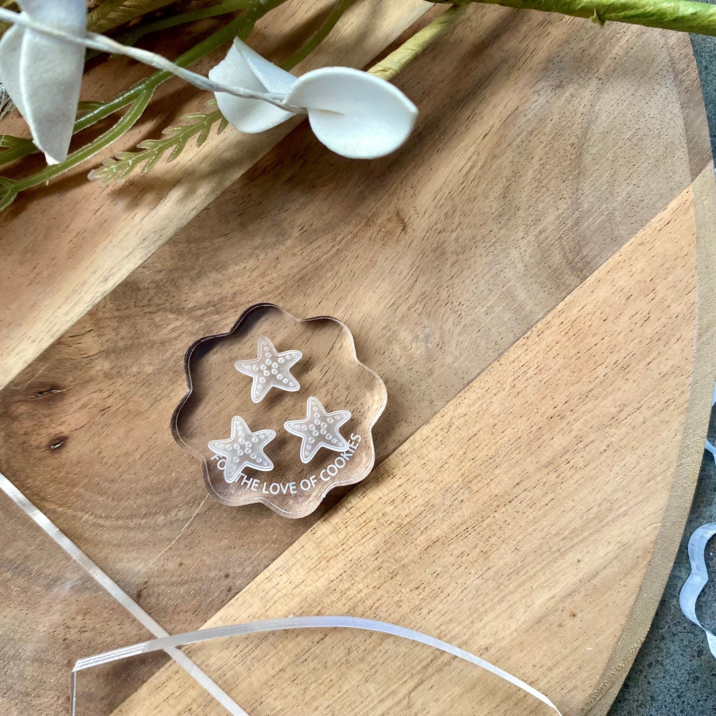 Mini Starfish Acrylic Mini Mould