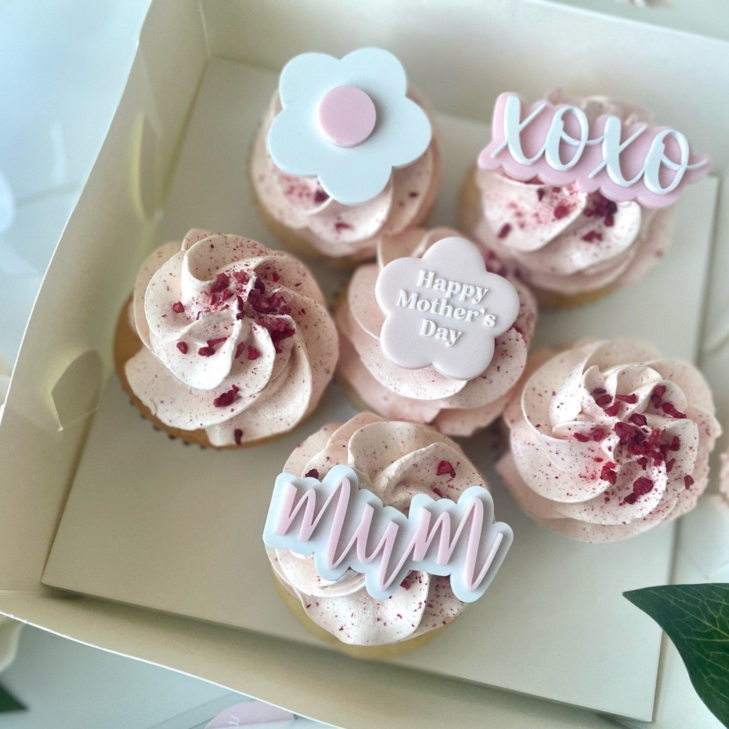 Acrylic Cupcake Charms set of 6