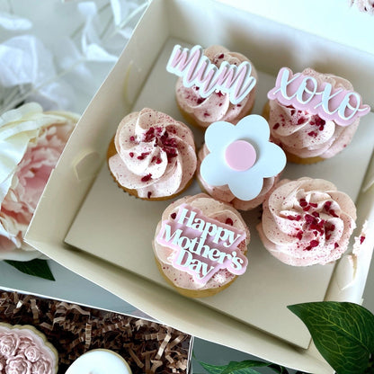 Acrylic Cupcake Charms set of 6